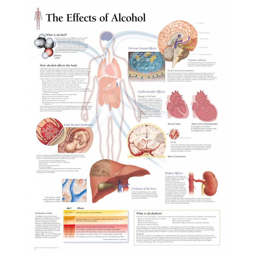 The Effects of Alcohol Chart