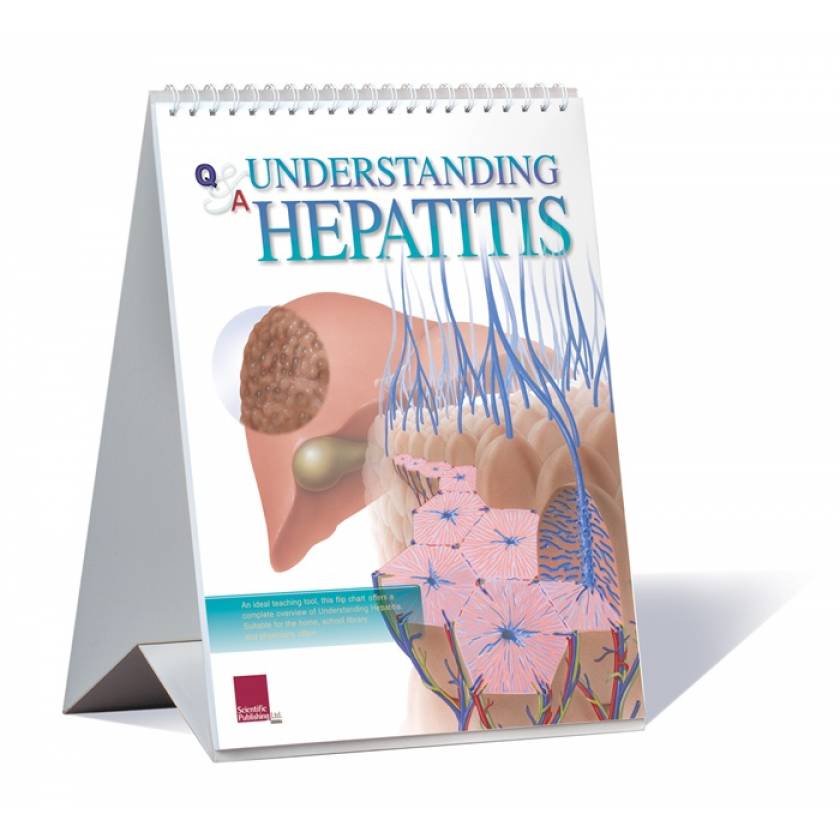 Understanding Hepatitis Flip Chart