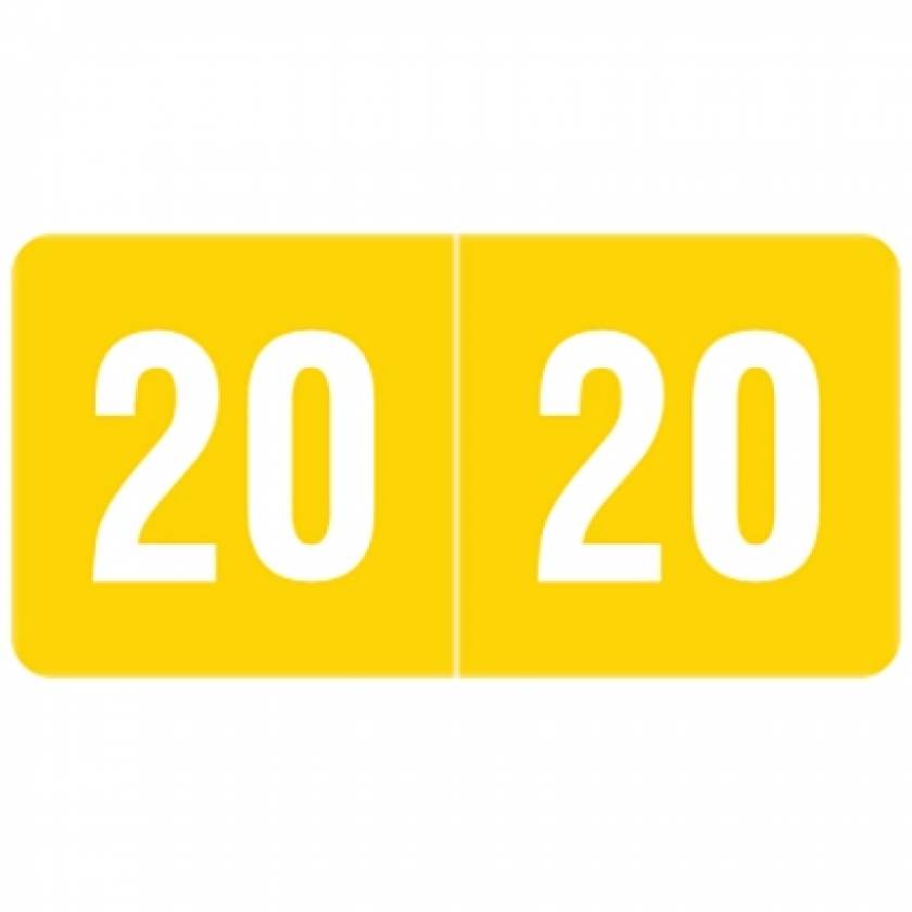 2020 SMYM Year Labels - Smead Compatible - Size 1/2" H x 1" W