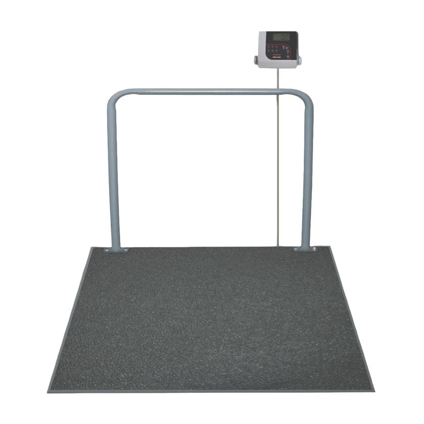 Rice Lake 204402 In-Floor Veterinary Scale, Front View