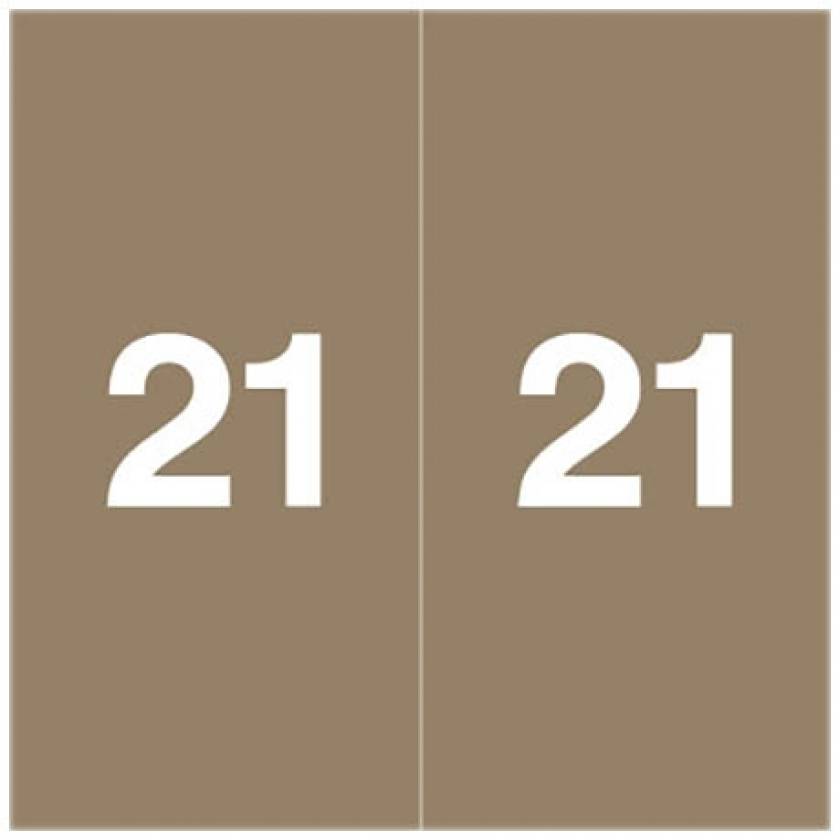2021 Year Labels - Ames Compatible - Size 1 7/8" H x 1 7/8" W