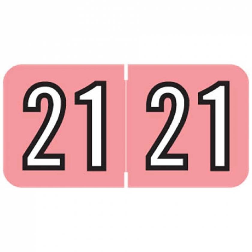 2021 Year Labels - Barkley Compatible - Size 3/4" H x 1 1/2" W