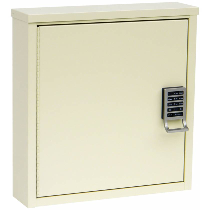 Patient Security Cabinets - 16.75" H x 16" W x 4" D