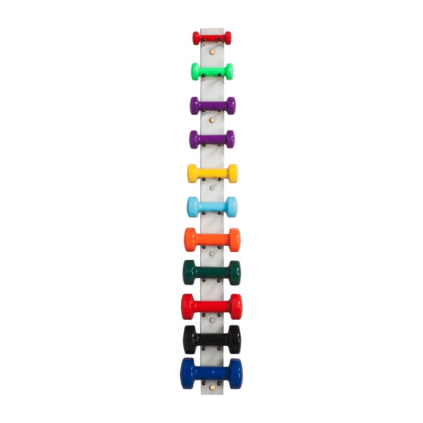 Clinton 5113K Gray Laminate Dumbbell Strip (Dumbbells are Not Included)