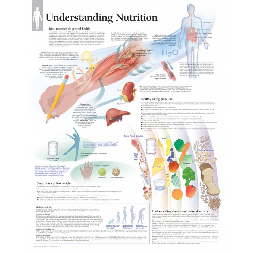 Understanding Nutrition Chart