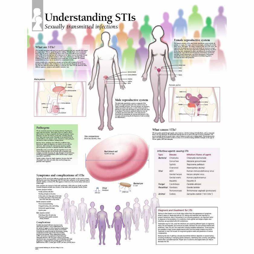 Scientific Publishing Understanding STIs Chart