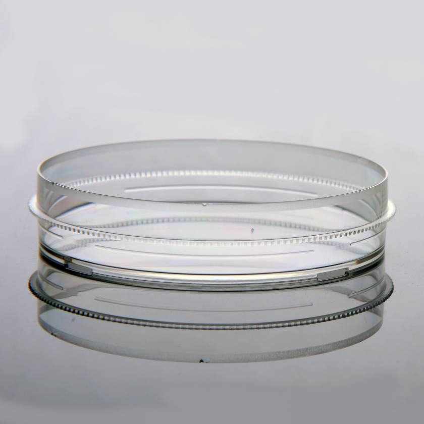 NEST Scientific 704201 Cell Culture Dish with Gripping Ring, 100 mm - Close-up