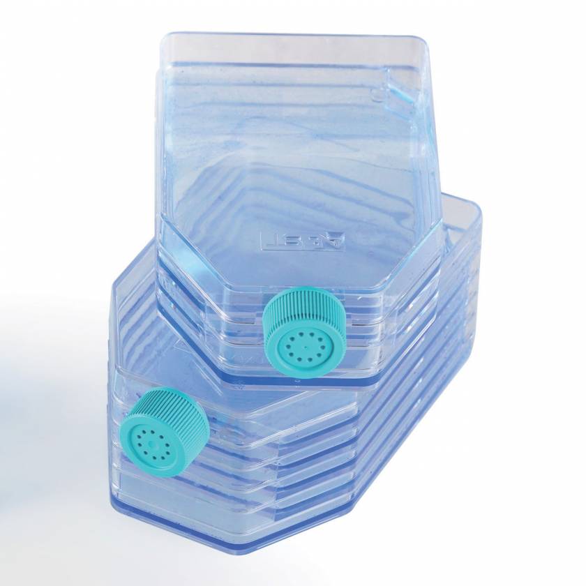 NEST Scientific 3-Layer Cell Culture Flask with Cap, Sterile