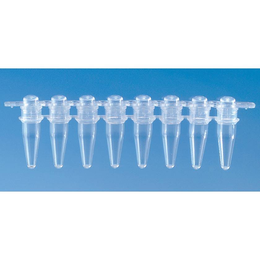 BrandTech PCR Tube Strip with Attached Domed Strip Cap 8 x 0.2mL