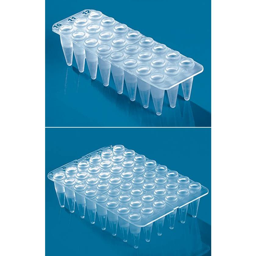 24- and 48-Well PCR Plates