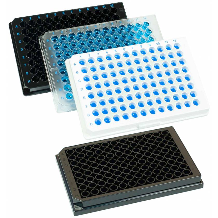 BRANDplates 96-Well Plate immunoGrade Polystyrene Non-Sterile Treated Surface 