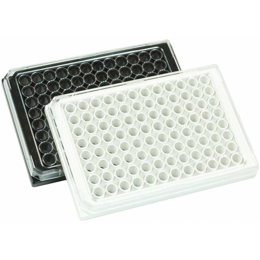 BRANDplates cellGrade Plus Treated Sterile Surface 96-Well Plates
782031 Black, Transparent F-Bottom
782030 White, Transparent F-Bottom