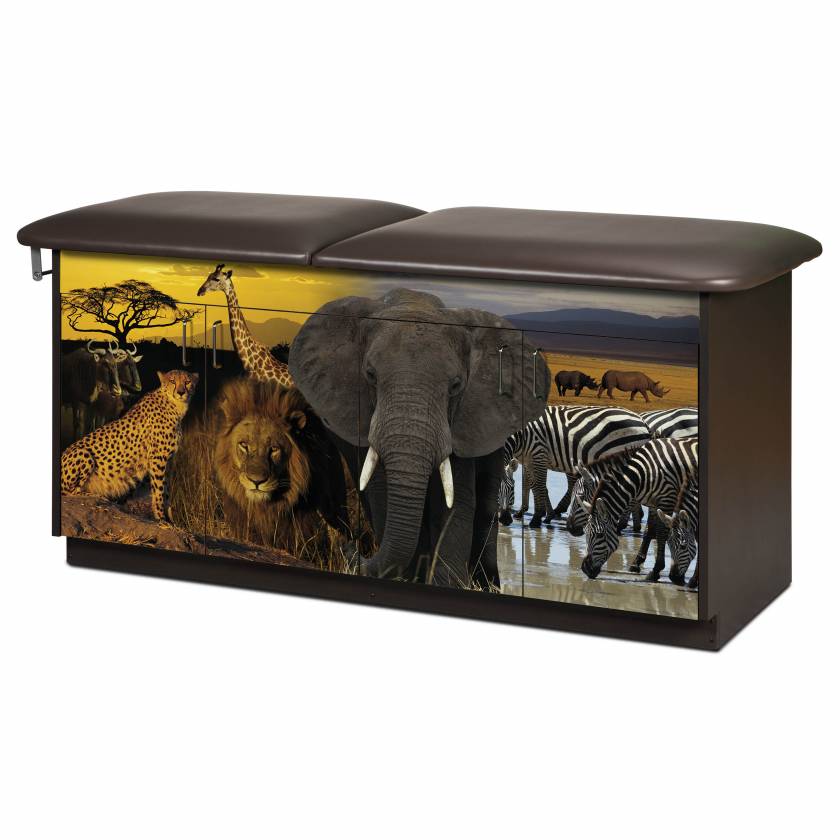 Clinton Adventure Series Safari Pediatric Treatment Table