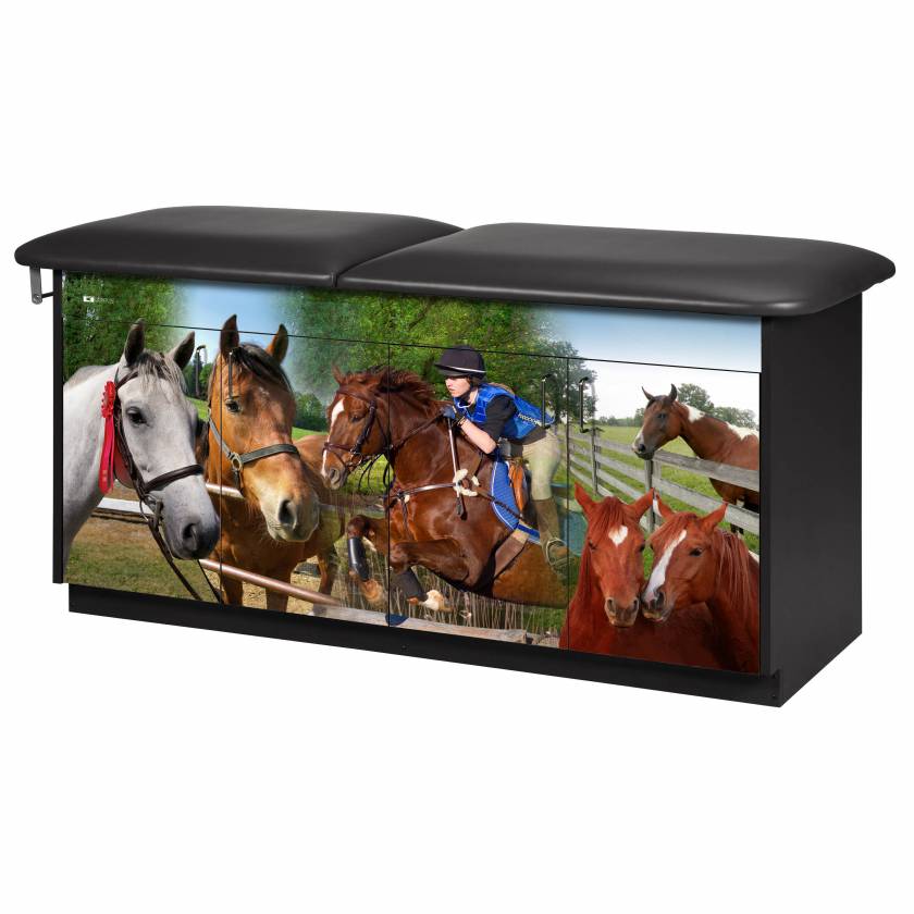 Clinton Adventure Series Equestrian Pediatric Treatment Table