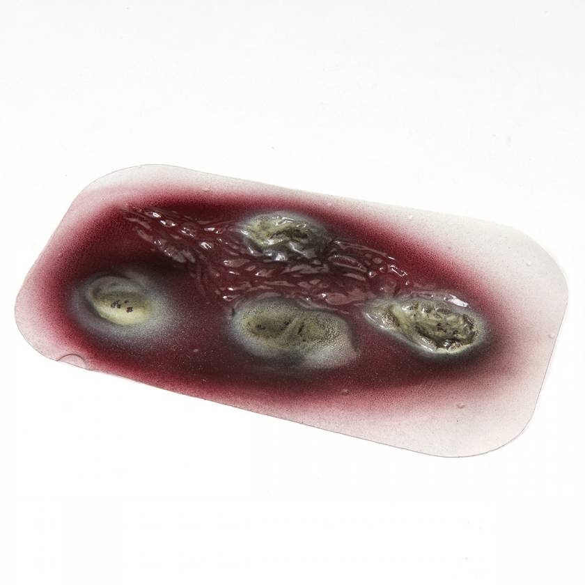 Life/form Moulage Wound - Wound - 2nd Degree Burn - Stick-On Wound Simulator