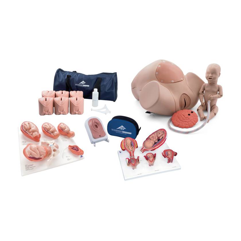 3B Scientific 8000878 Obstetrics Lab Pro Set