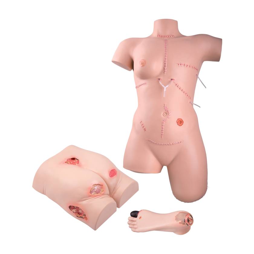 3B Scientific 8000880 Wound Care Basic Set