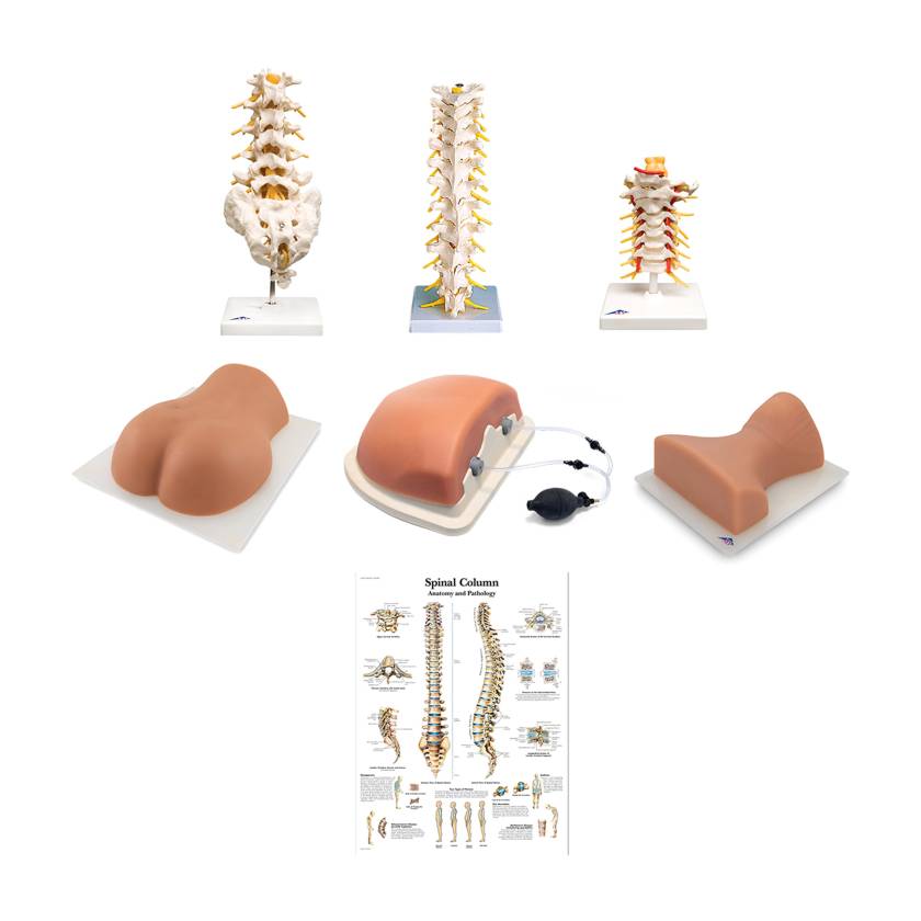 3B Scientific 8001095 Complete Spinal Injection Kit