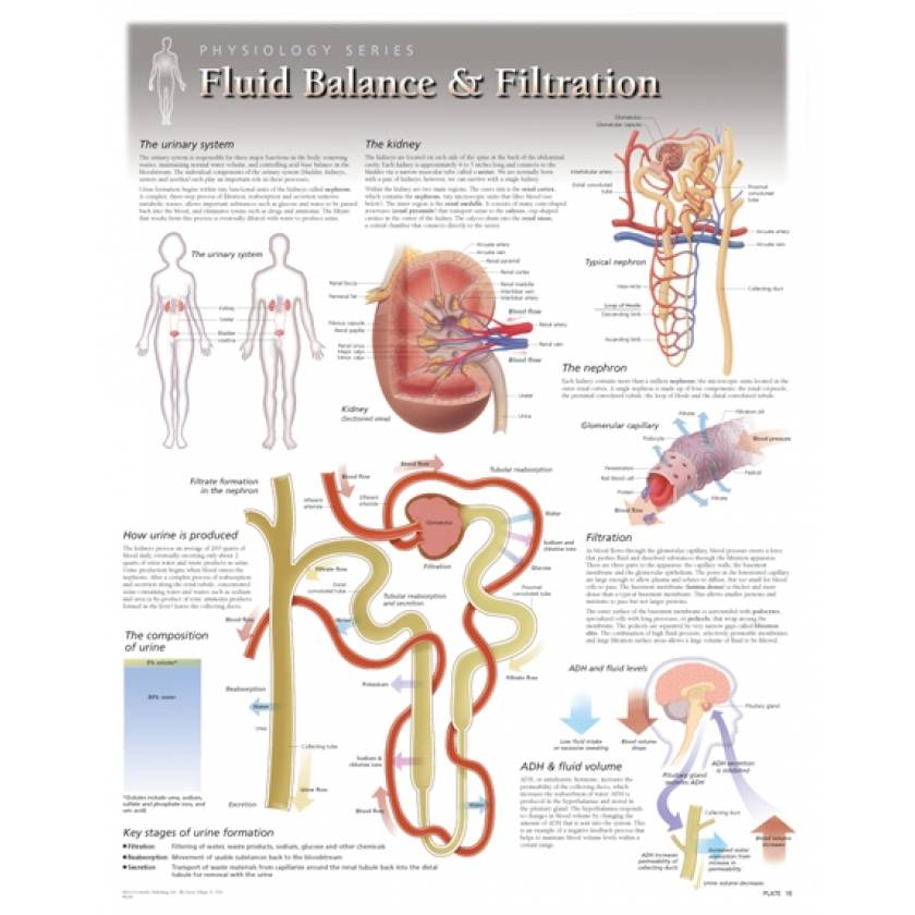 Fluid Balance & Filtration Laminated