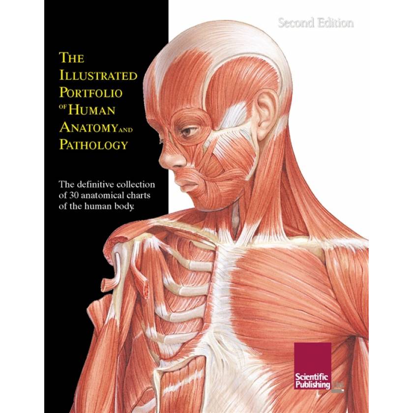 The Illustrated Portfolio of Human Anatomy and Pathology