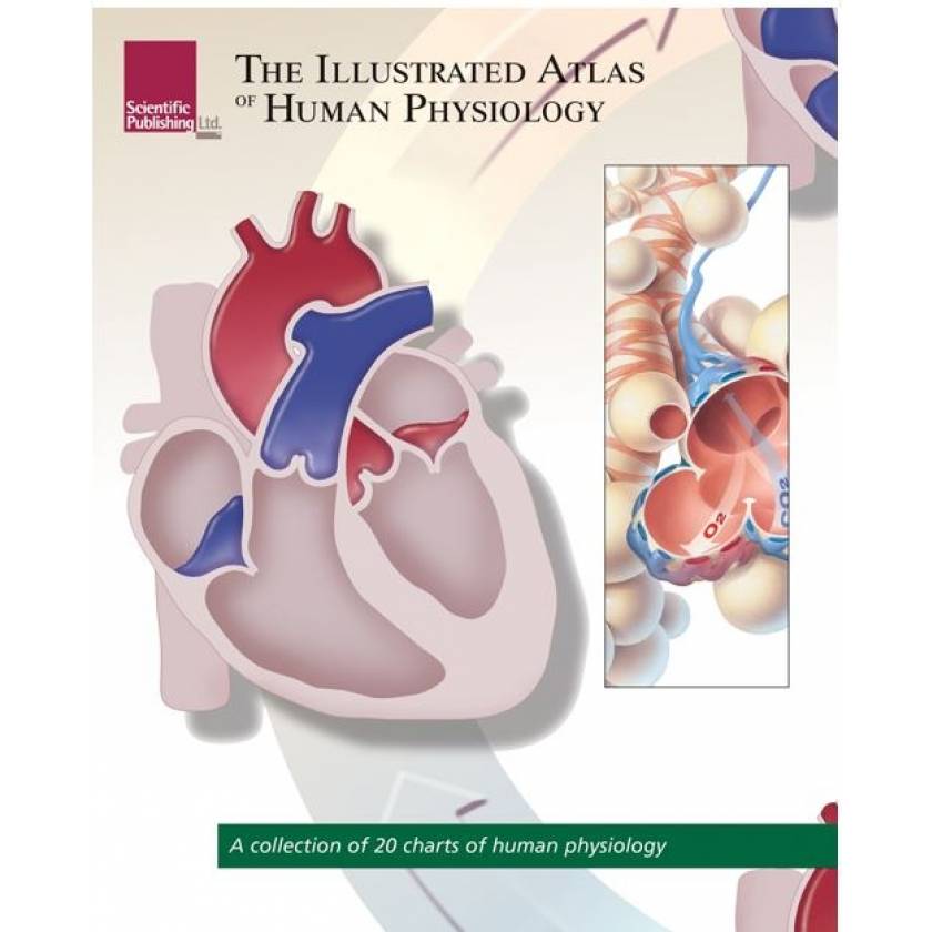 The Illustrated Atlas Of Human Physiology