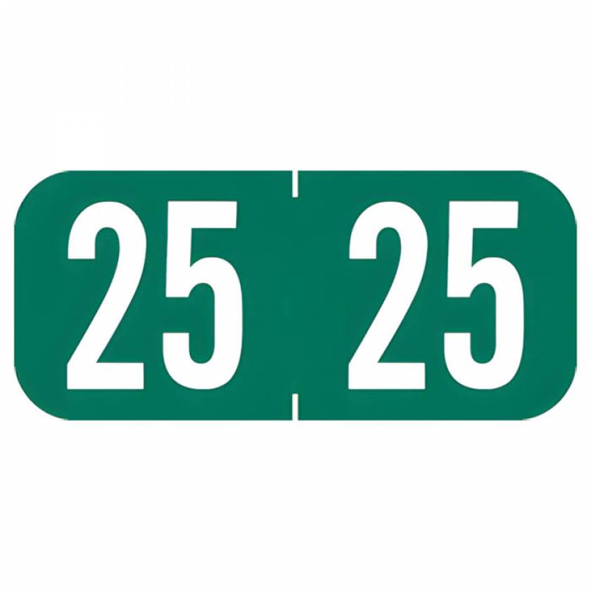 Arden Labels A1287-25-T3 Tab 1287 Compatible A1287 Series 2025 Year Labels - Size 1/2" H x 1 1/8" W