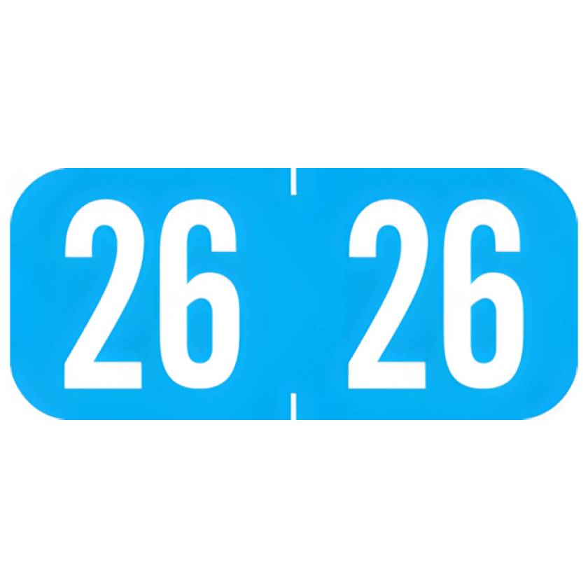 Arden Labels A1287-26-T3 Tab 1287 Compatible A1287 Series 2026 Year Labels - Size 1/2" H x 1 1/8" W