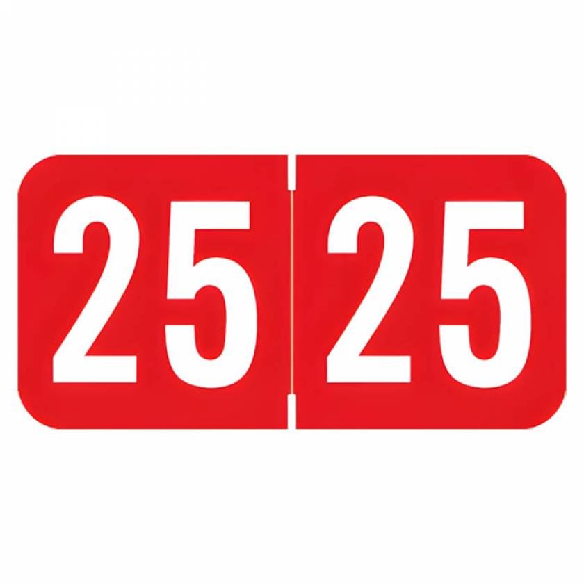 Arden Label ACYM-25-T4 ACME/S&W Compatible ACYM Series 2025 Year Labels - Size 3/4" H x 1 1/2" W