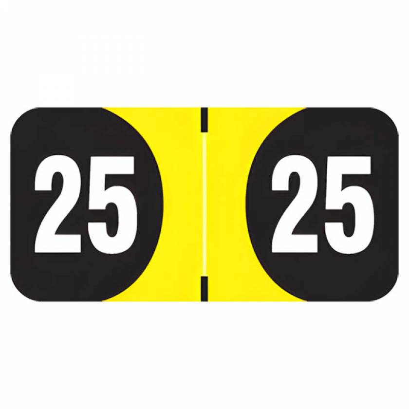Arden Label ADYM-25-T4 Arden Compatible ADYM Series 2025 Year Labels - Size 3/4" H x 1 1/2" W