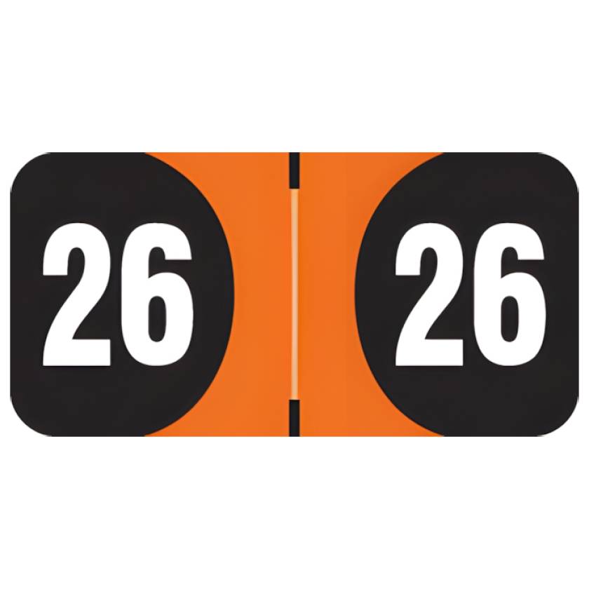 Arden Label ADYM-26-T4 Arden Compatible ADYM Series 2026 Year Labels - Size 3/4" H x 1 1/2" W