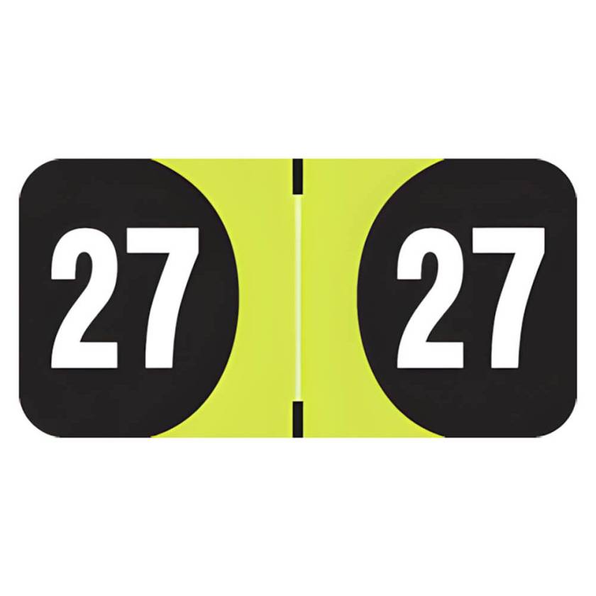 Arden Label ADYM-27-T4 Arden Compatible ADYM Series 2027 Year Labels - Size 3/4" H x 1 1/2" W