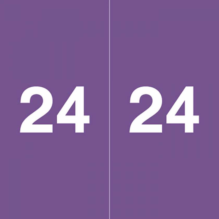 2024 Year Labels - Ames Compatible - Size 1 7/8" H x 1 7/8" W