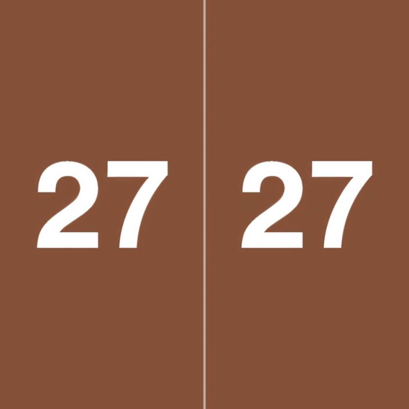 Arden Label AEYM-27-L5 Ames Compatible AEYM Series 2027 Year Labels - Size 1 7/8" H x 1 7/8" W