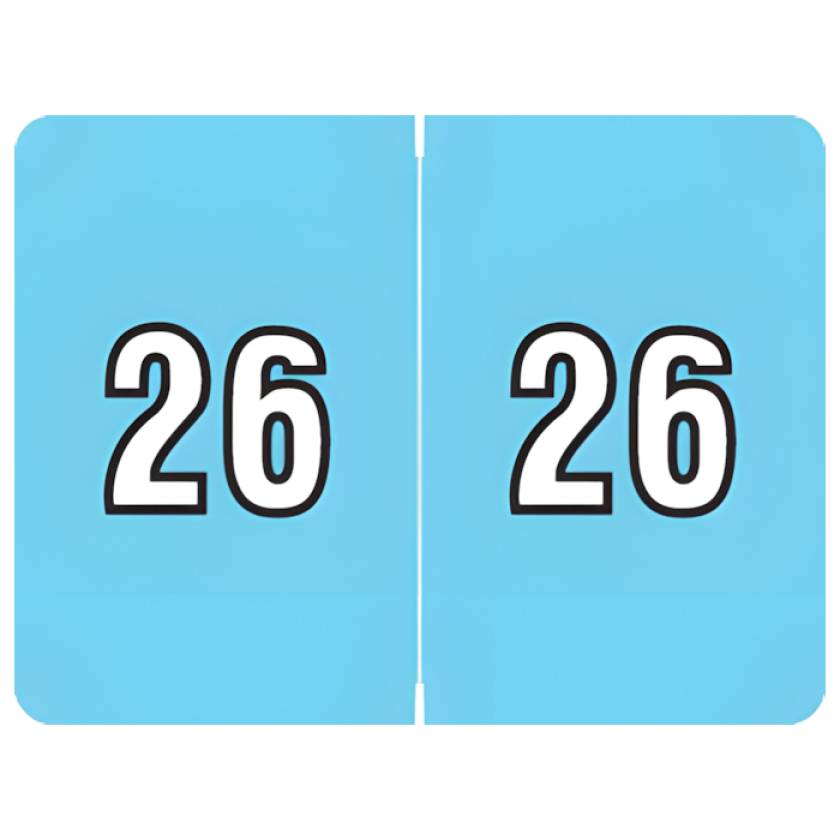 Arden Label AL8800-26-T3 DataFile Compatible AL8800 Series 2026 Year Labels - Size 15/16" H x 1 1/4" W