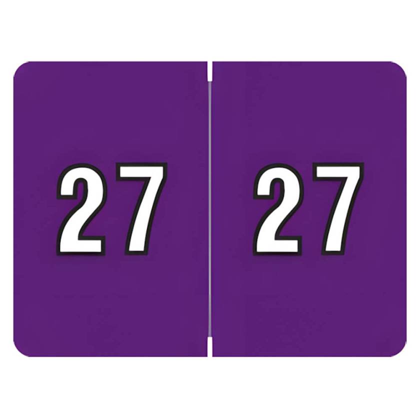 Arden Label AL8800-27-T3 DataFile Compatible AL8800 Series 2027 Year Labels - Size 15/16" H x 1 1/4" W