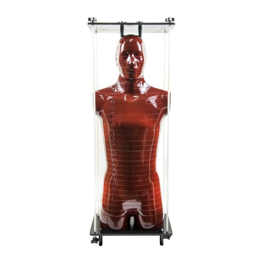RSD Male ART Phantom with Cadaver Bones - Front View