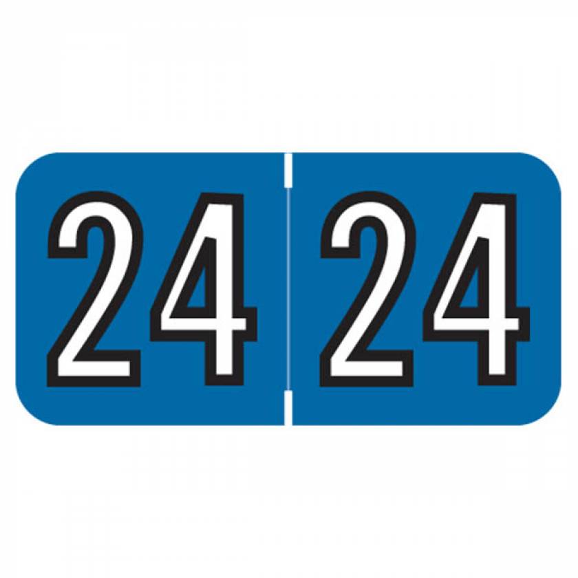 Arden Label ARYM-24-T4 2024 Year Labels - Amerifile Compatible - Size 3/4" H x 1 1/2" W