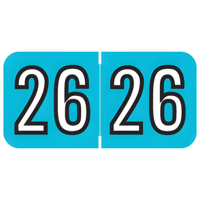 Arden Label ARYM-26-T4 Amerifile Compatible ARYM Series 2026 Year Labels - Size 3/4" H x 1 1/2" W