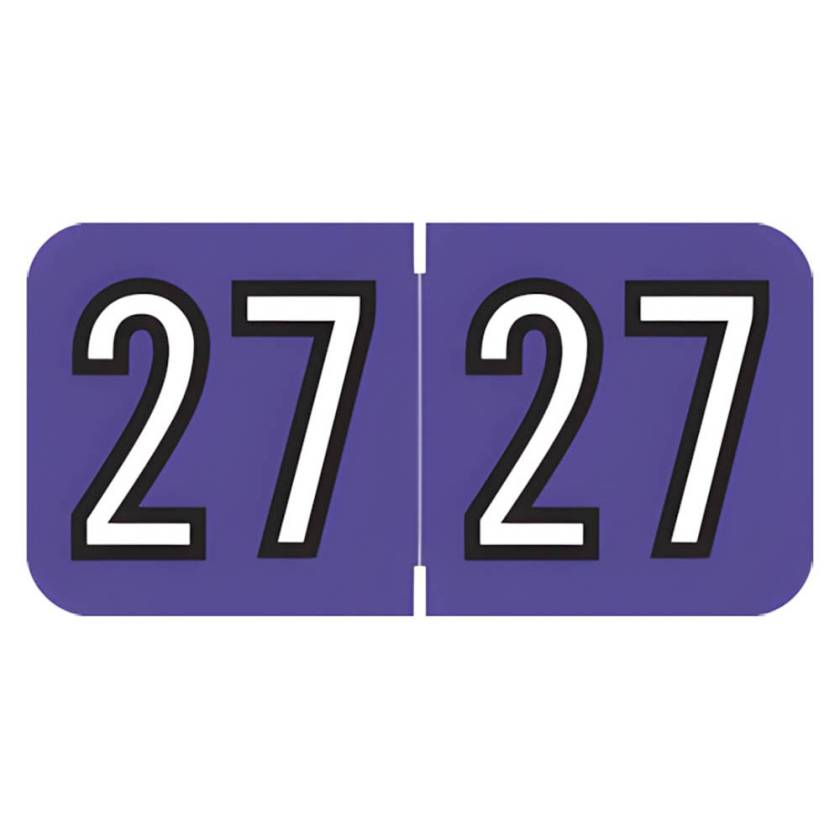 Arden Label ARYM-27-T4 Amerifile Compatible ARYM Series 2027 Year Labels - Size 3/4" H x 1 1/2" W