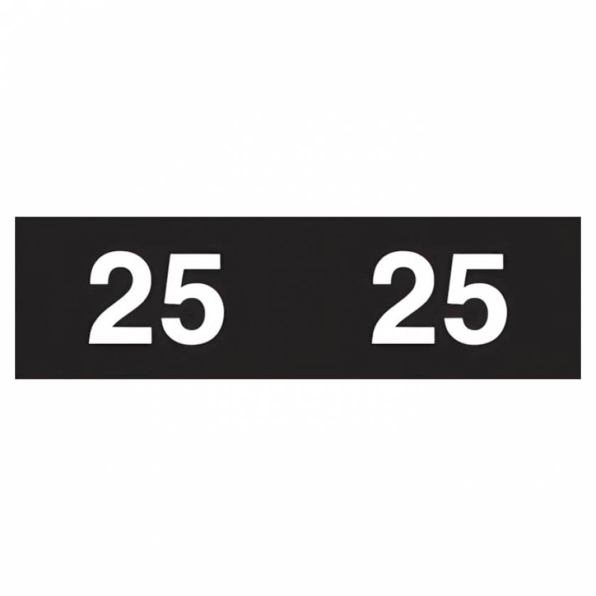 Arden Label ASYP-25-B45 Ames Compatible ASYP Series 2025 Year Labels - Size 1/2" H x 1 3/4" W
