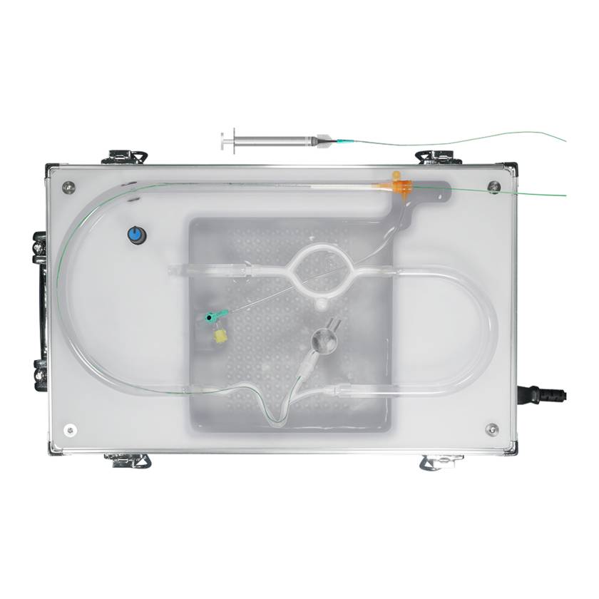 SurgMate AVM-B01 AVM Liquid Embolization Wiring and Glue Injection Training Platform (Syringe and Pipette Tips are Not Included)