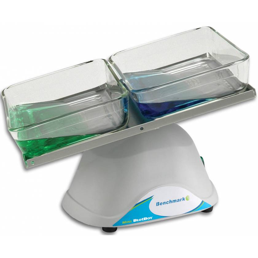 Mini BlotBoy 3D Rocker Fixed Speed - Small Platform With Flat Mat