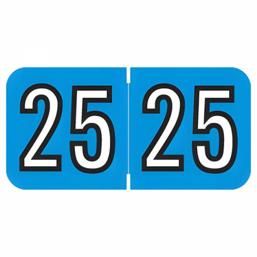 Arden Label BAYM-25-B45 Barkley Compatible BAYM Series 2025 Year Labels - Size 3/4" H x 1 1/2" W