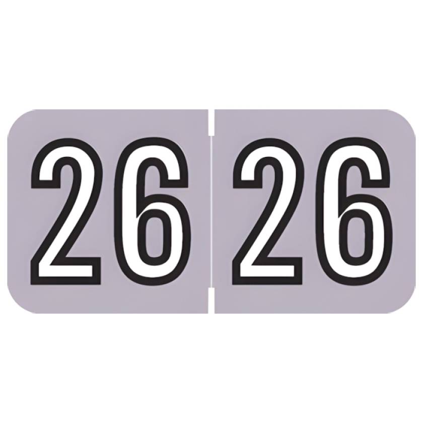 Arden Label BAYM-26-B45 Barkley Compatible BAYM Series 2026 Year Labels - Size 3/4" H x 1 1/2" W