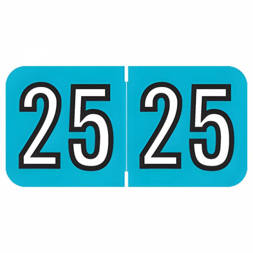 Arden Label BKYM-25-T4 Barkley Compatible BKYM Series 2025 Year Labels - Size 3/4" H x 1 1/2" W