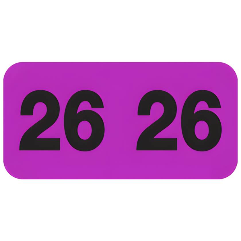 Arden Label CFYM-26-T4 Control-O-Fax Compatible CFYM Series 2026 Year Labels - Size 3/4" H x 1 1/2" W