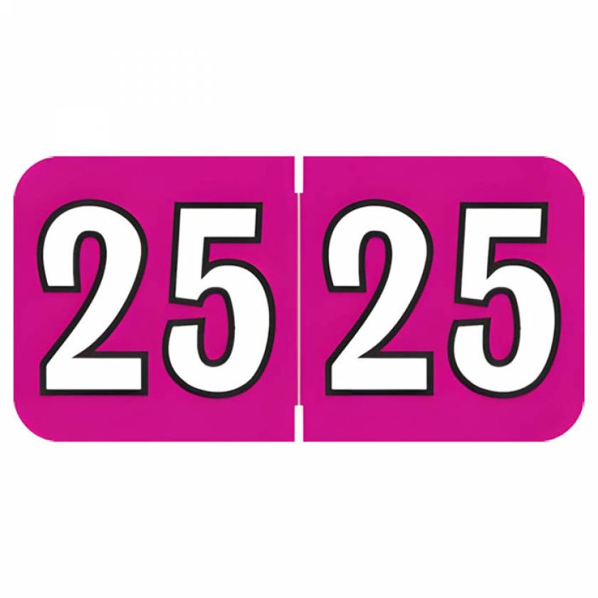 Arden Label COYM-25-T4 Colwell Compatible COYM Series 2025 Year Labels - Size 3/4" H x 1 1/2" W