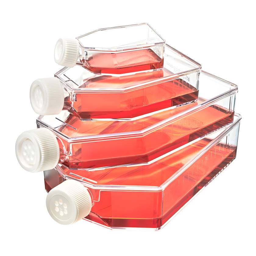 Globe Scientific Diamond® SureGro™ Cell Culture Flask, Non-Treated with Vent Cap