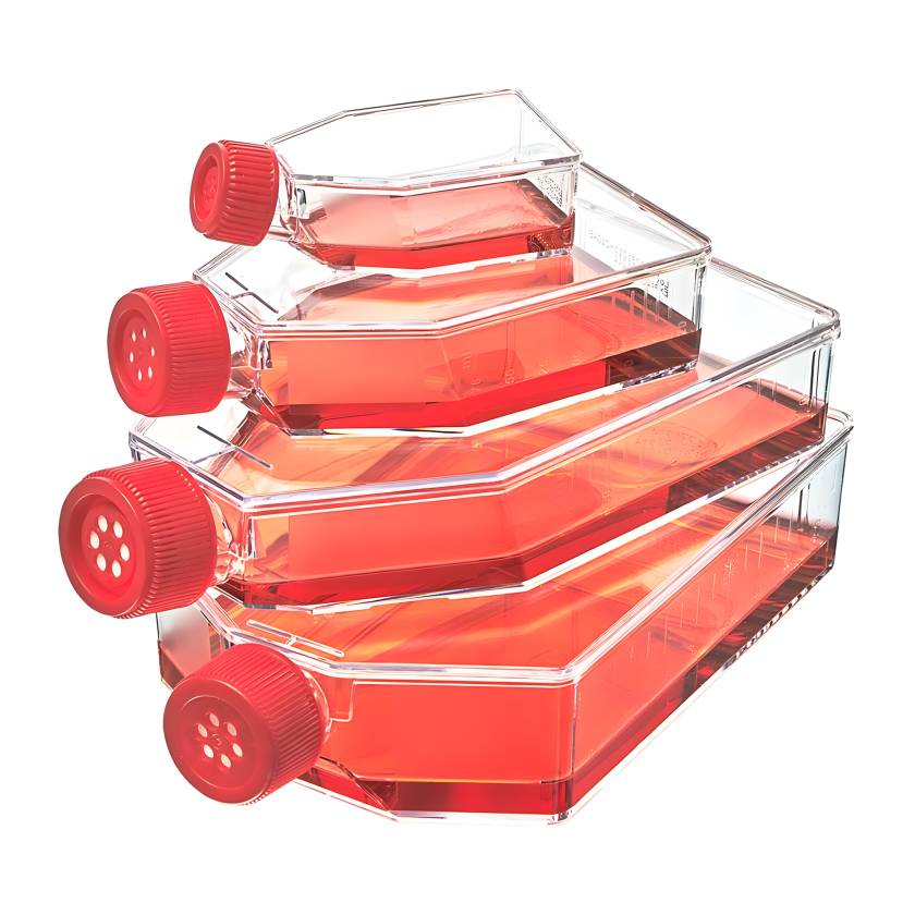 Globe Scientific Diamond® SureGro™ Cell Culture Flask, Tissue Culture Treated with Vent Cap