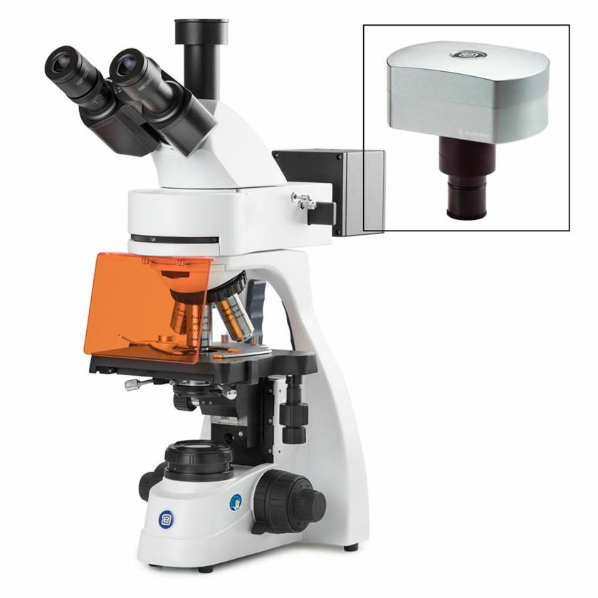 Globe Scientific EBS-3153-PLFI-DC18 bScope Trinocular Compound Microscope for LED Fluorescence, HWF 10x/22mm Eyepieces, Quintuple Nosepiece with Plan Fluarex PLFi, CMEX-18 Pro Camera